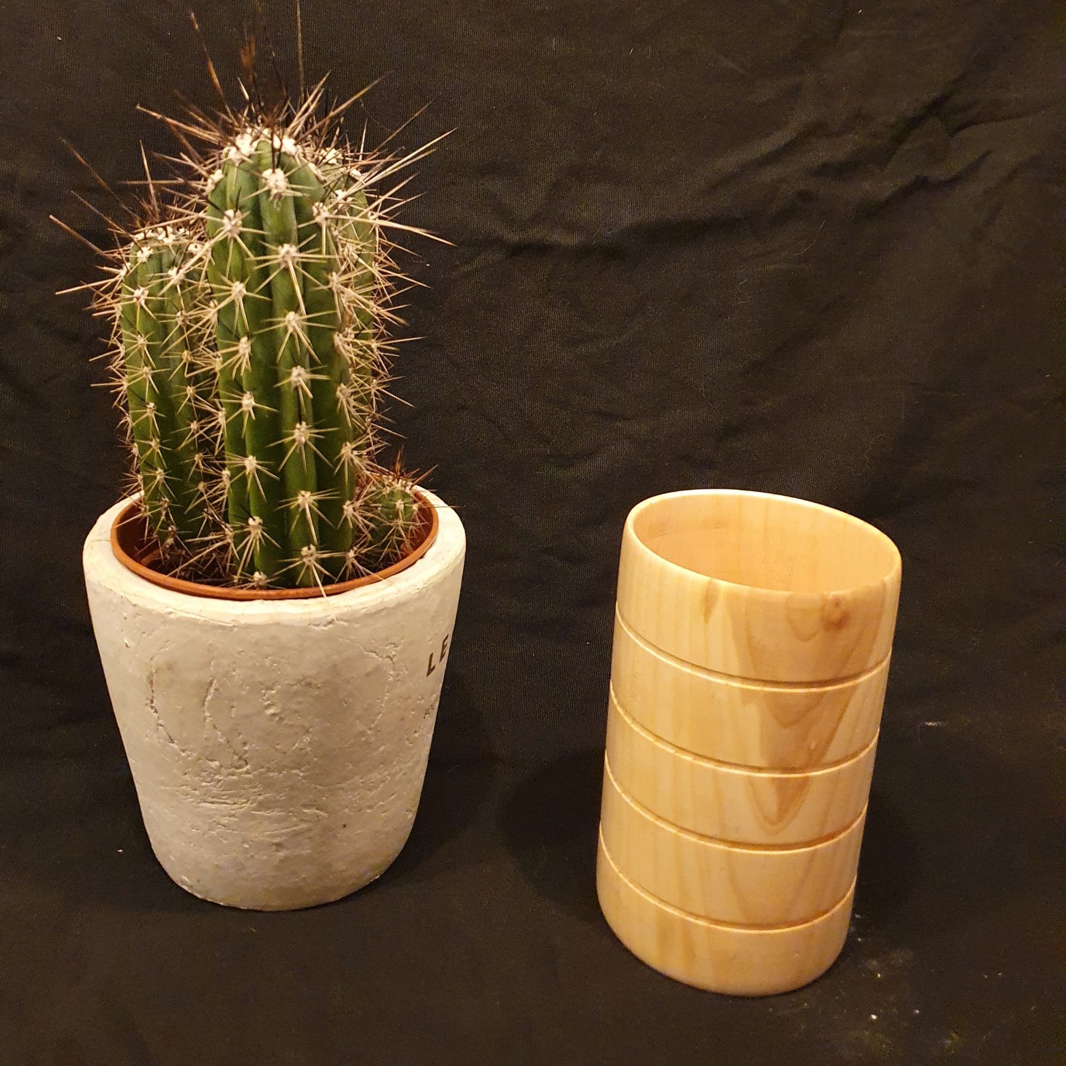 pot-cactus-fait-main